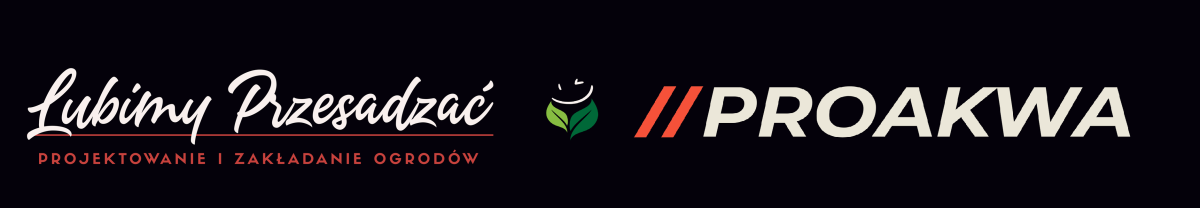 PROJEKT.REALIZACJA.SERWIS